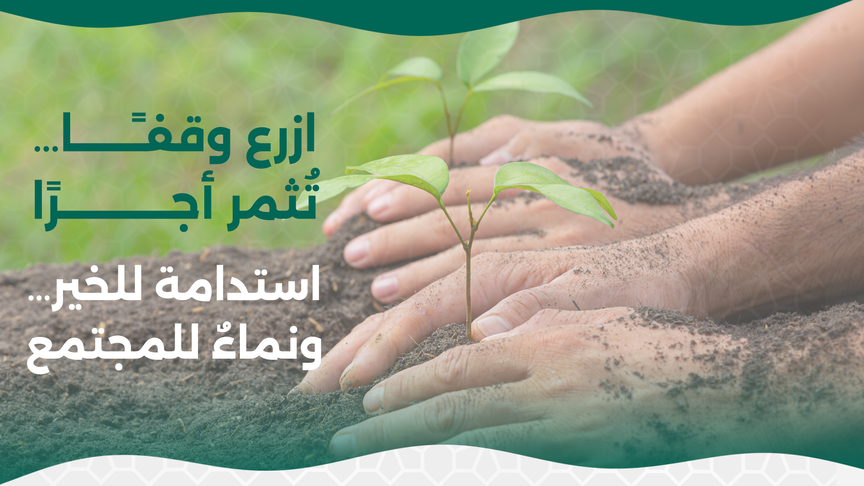 وقف رافد - تجريبي